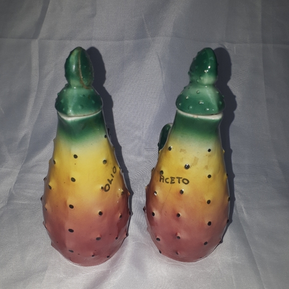 D83:  CACTUS OLIO AND ACETO - Picture 5 of 6